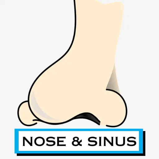 Nose & Sinus